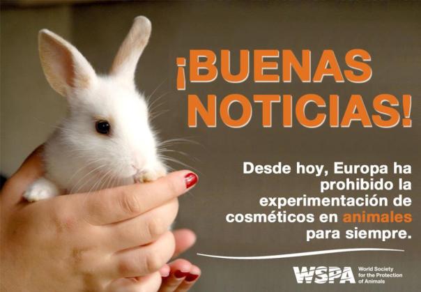 Animal testing ban